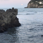 poppy-r OnlyFans Leak 

 profile picture