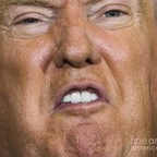 Download president_rump OnlyFans content for free 

 profile picture