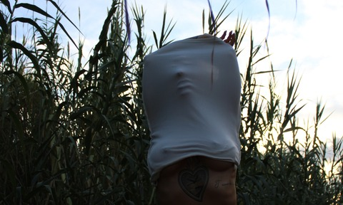 Header of qu33nth3