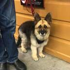 Download queenkairi OnlyFans leaks for free 

 profile picture