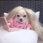 rachxl OnlyFans Leaks 

 profile picture
