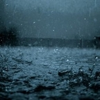 Raindrops (raindrops) Leaks OnlyFans 

 profile picture