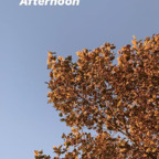 Onlyfans leaks robinbird 

 profile picture