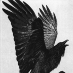 sadlovestory (Doom) OnlyFans Leaks 

 profile picture