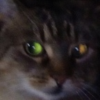 Download sadxsin OnlyFans leaks for free 

 profile picture