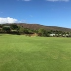 saizo OnlyFans Leaks 

 profile picture