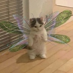 sanrioh0e OnlyFans Leak 

 profile picture