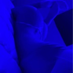 Onlyfans leak sarahmiller8 

 profile picture