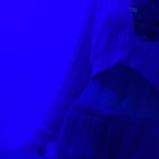 sarahxxx_03 (✨Sarah✨) free OnlyFans Leaked Content 

 profile picture