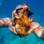 Download shangerdanger OnlyFans videos and photos for free 

 profile picture