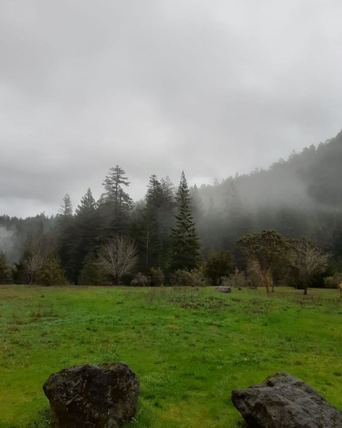 Header of shegemmini