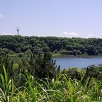 Download shiba OnlyFans leaks for free 

 profile picture