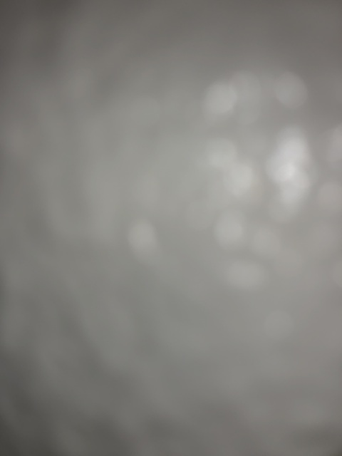 Header of springfield