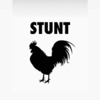 Onlyfans leaks stunttcock 

 profile picture