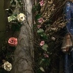 Free access to (tammywynette) Leaked OnlyFans 

 profile picture