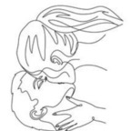 Onlyfans leak thatdirtyduo 

 profile picture