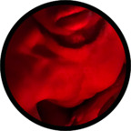 theb00tybandit OnlyFans Leaked 

 profile picture