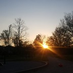 Free access to @toxic.queen Leaked OnlyFans 

 profile picture