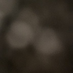 Tom P tparks Leaks OnlyFans 

 profile picture