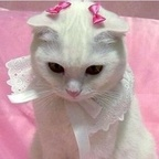 trash_bby (TrashBaby) OnlyFans Leaked Videos and Pictures 

 profile picture
