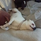 u143803899 OnlyFans Leak 

 profile picture