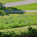 Onlyfans leak u22654325 

 profile picture