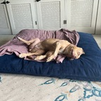 Michael (@u249321866) Leaks OnlyFans 

 profile picture