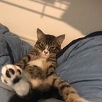 Onlyfans leak u3p0rnkitty 

 profile picture