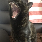 Download u67181577 OnlyFans videos and photos for free 

 profile picture