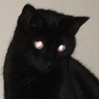 Free access to (voidqueen) Leaked OnlyFans 

 profile picture