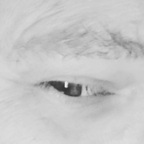 xeon82163071 (Xeon) free OnlyFans Leaked Content 

 profile picture