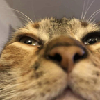 Free access to (zoppa) Leak OnlyFans 

 profile picture